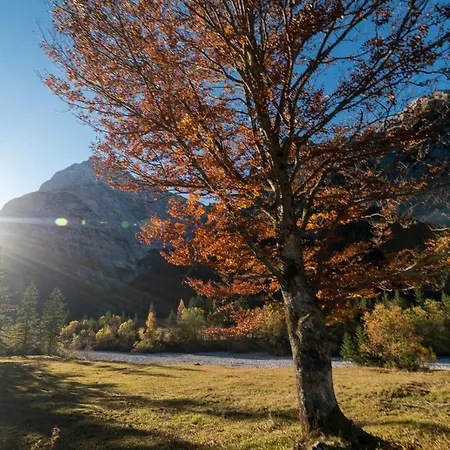 Alpen-lounge 17 * فغن