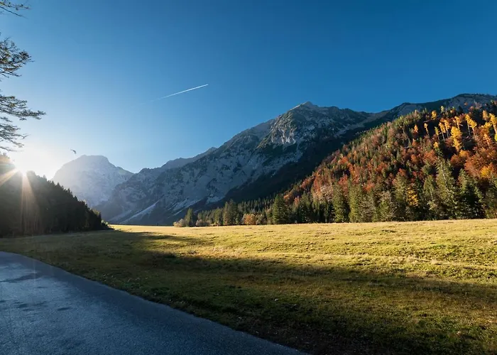 Alpen-lounge 17 公寓 菲根